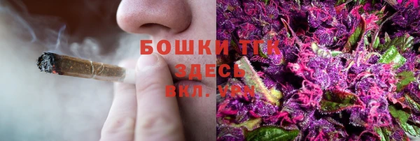 стафф Кукмор