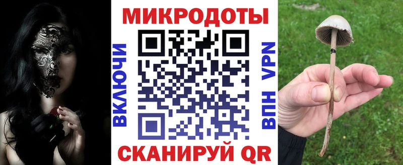 OMG зеркало  что такое   Вышний Волочёк  Галлюциногенные грибы Cubensis 